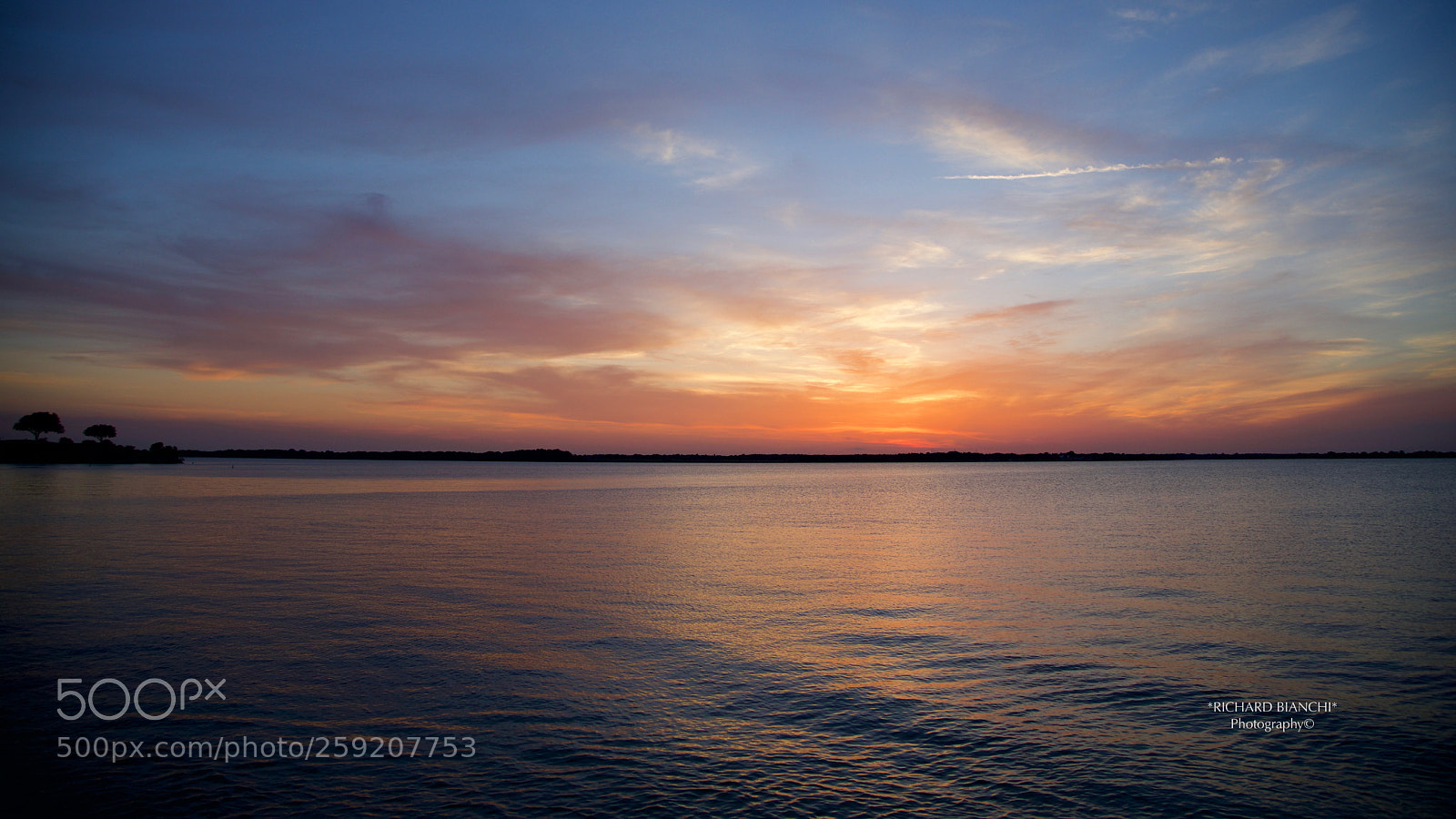 Canon EOS 5D Mark IV sample photo. Sunset at the park photography