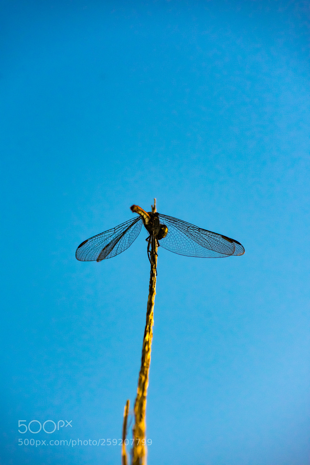 Nikon D3400 sample photo. Dsc_1758-2.jpg photography