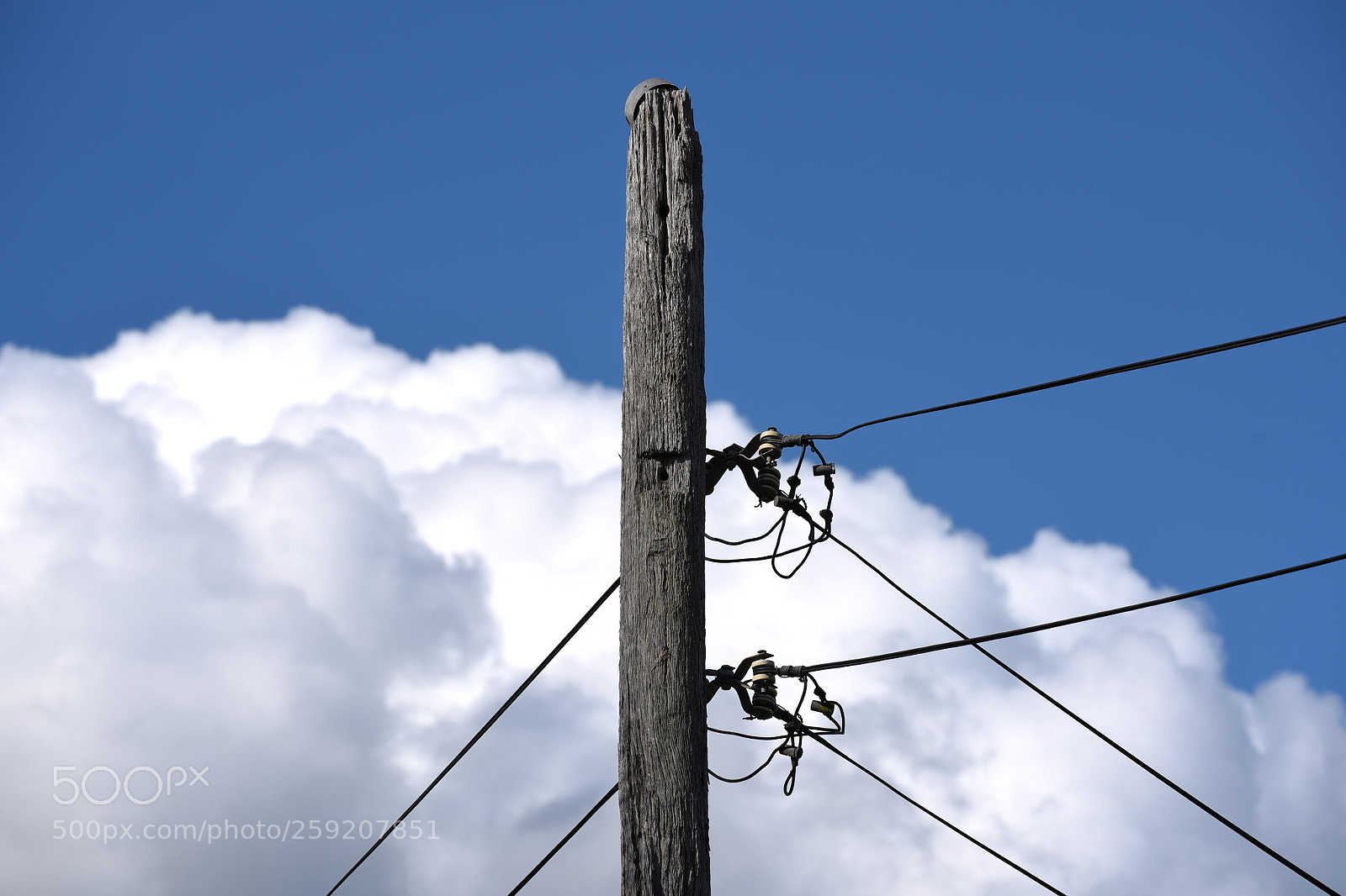 Nikon D750 sample photo. Pole photography