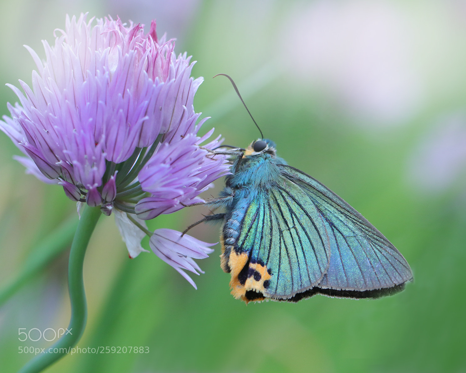 Canon EOS 80D sample photo. Untitled photography
