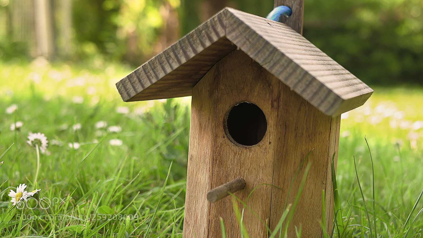 Panasonic Lumix DC-GH5 sample photo. Cabane dans l'herbe photography