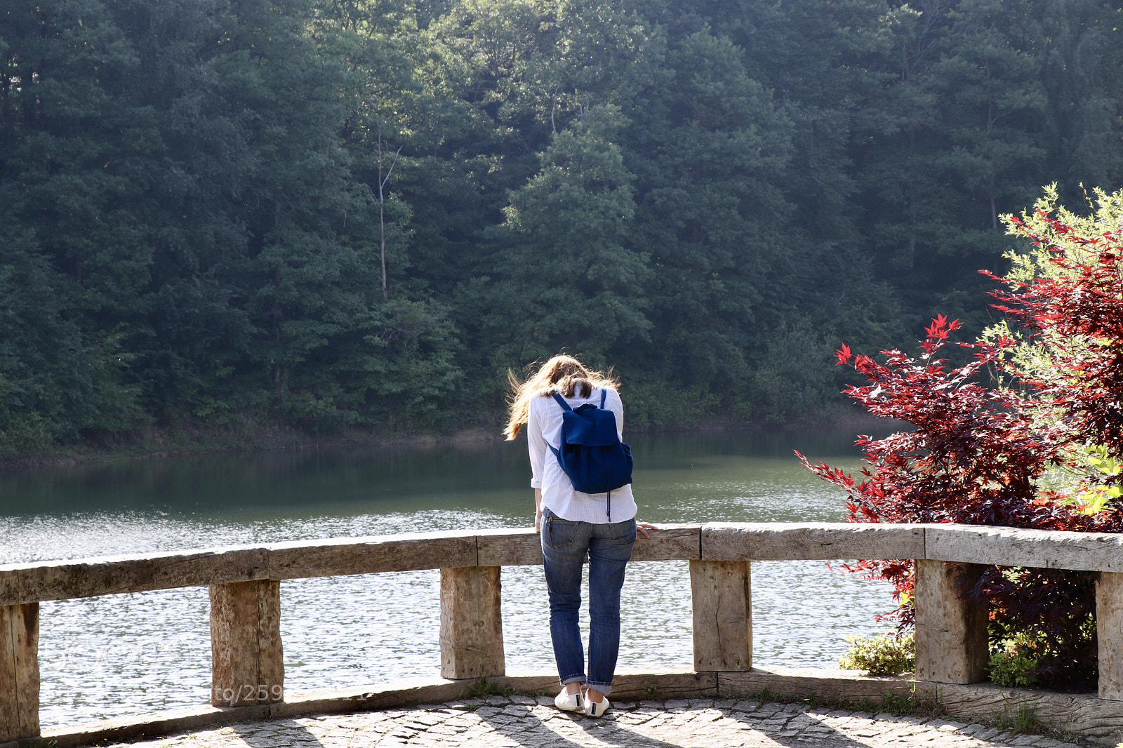 Canon EOS 77D (EOS 9000D / EOS 770D) sample photo. Untitled photography