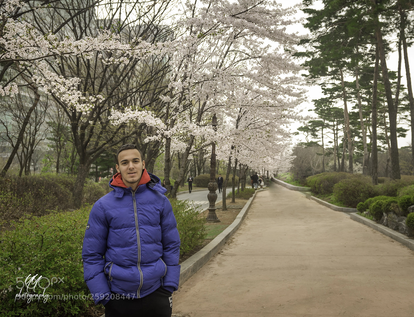 Nikon D610 sample photo. Emir kazim yaran photography