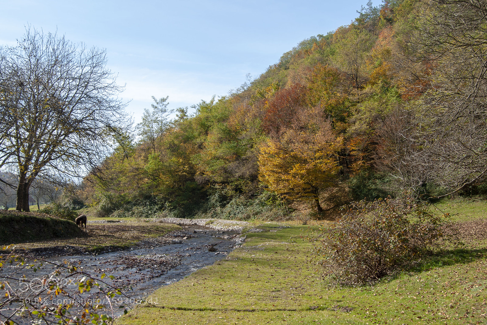 Nikon D80 sample photo. River and feilds photography