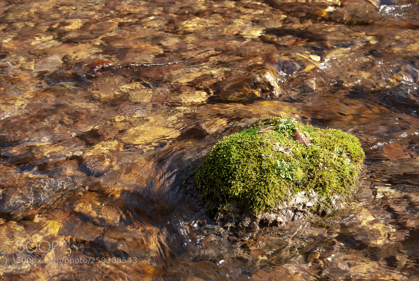 Nikon D80 sample photo. Water & rock photography