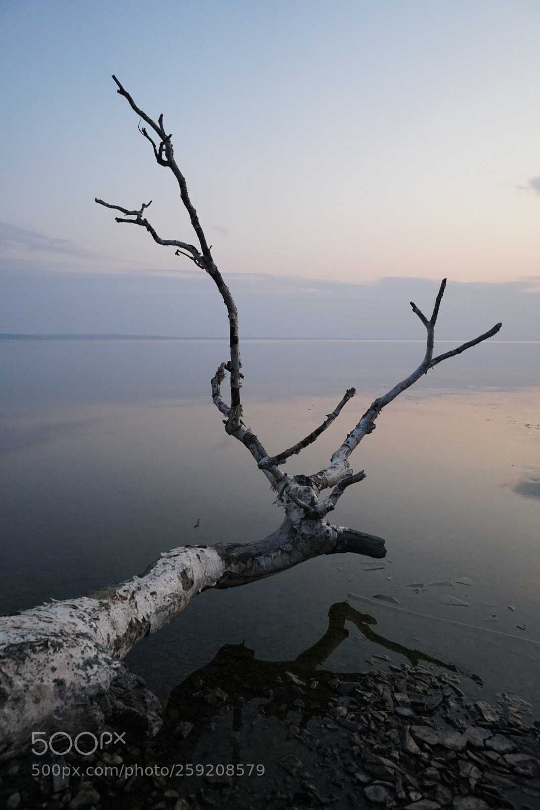 Sony a6500 sample photo. Dsc photography