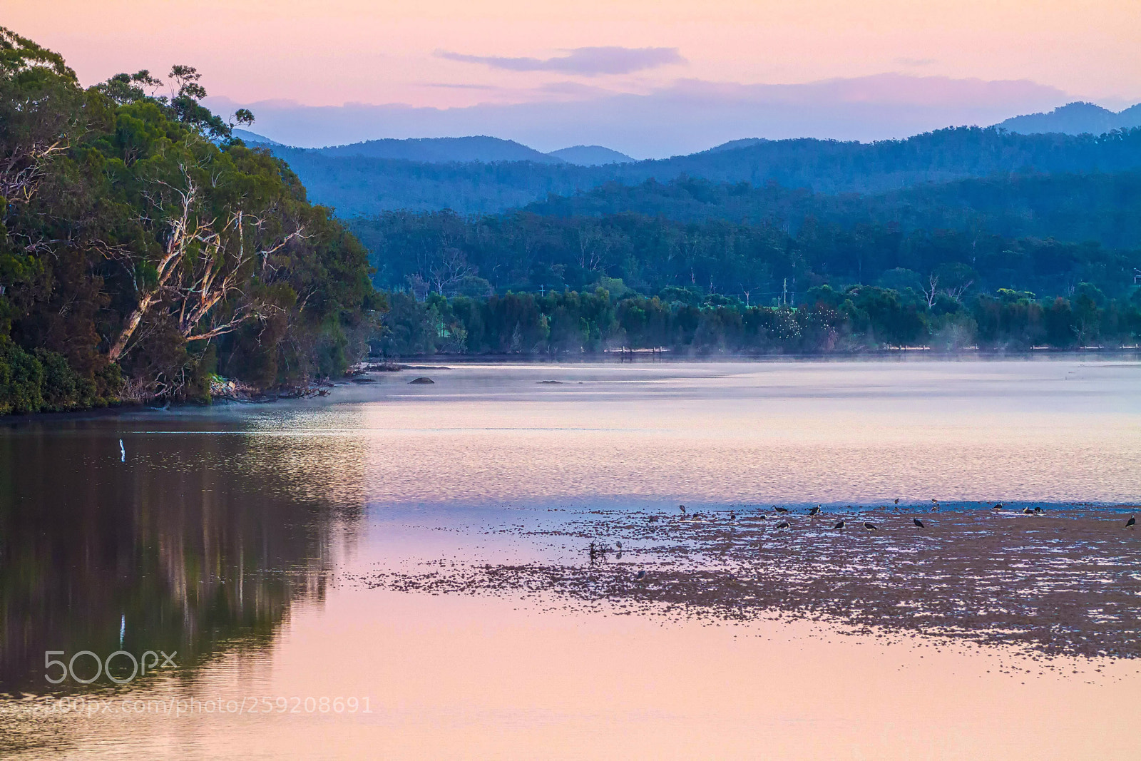 Canon EOS 7D sample photo. Moruya river sunrise photography