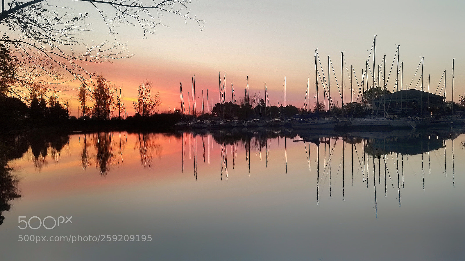 Samsung Galaxy S5 sample photo. The marina photography