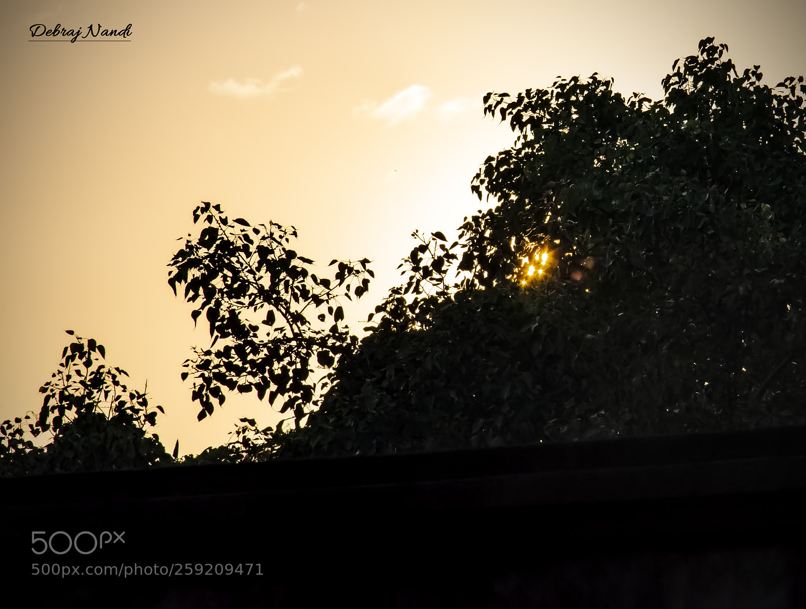 Nikon D7200 sample photo. Sunshine in every where photography