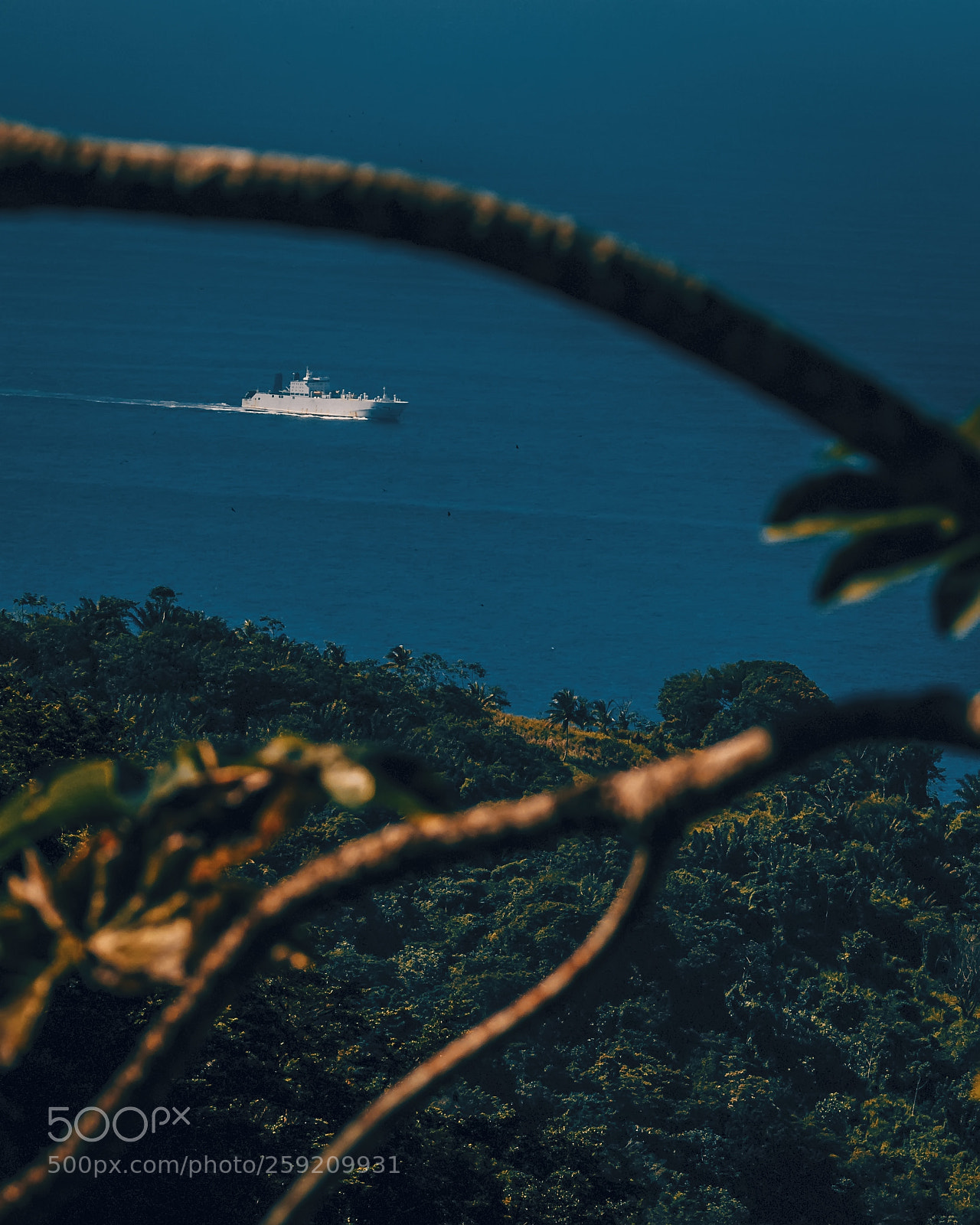 Nikon D7100 sample photo. Onward photography