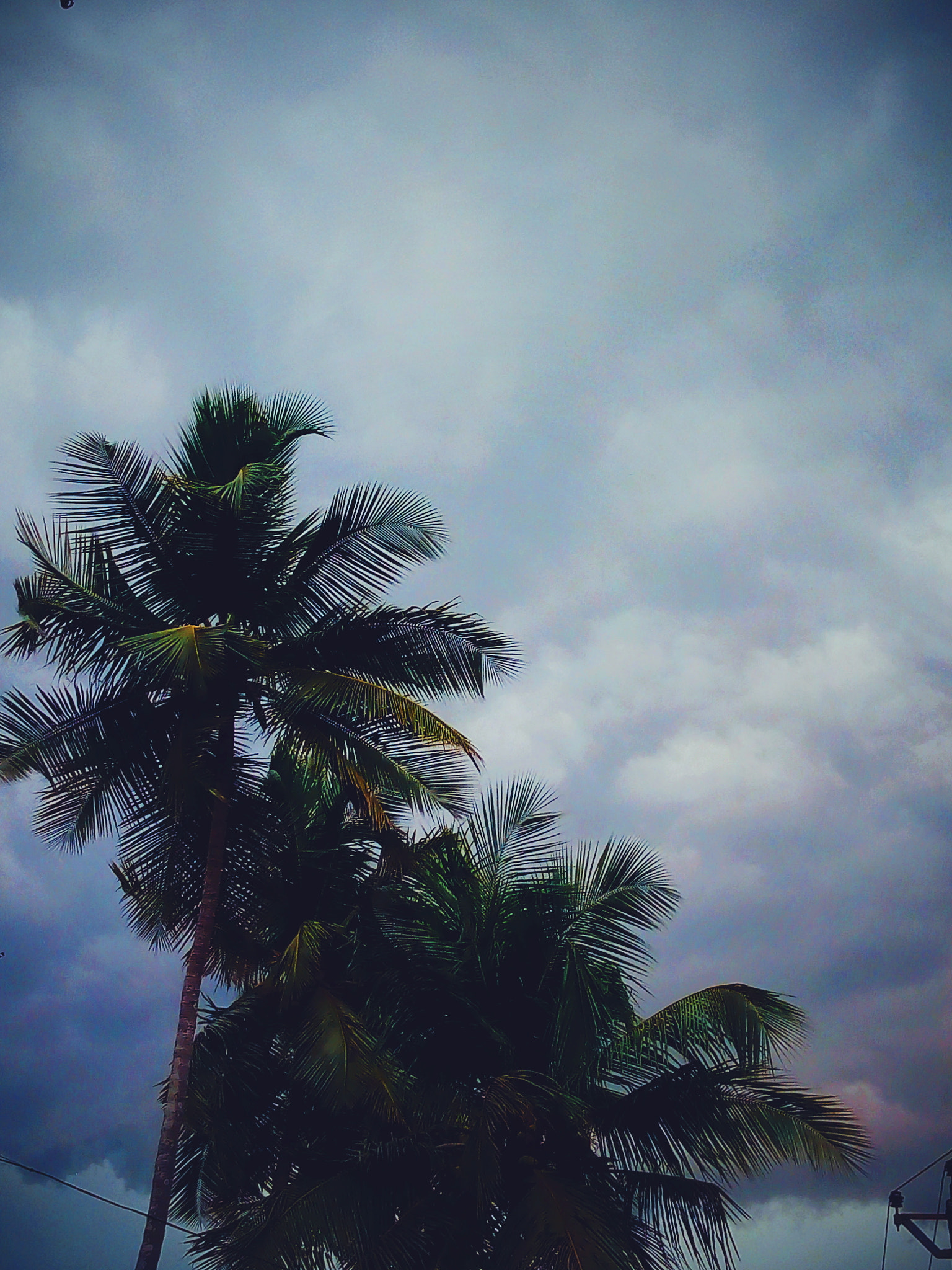 Motorola Moto E (4) Plus sample photo. Dark beauty photography