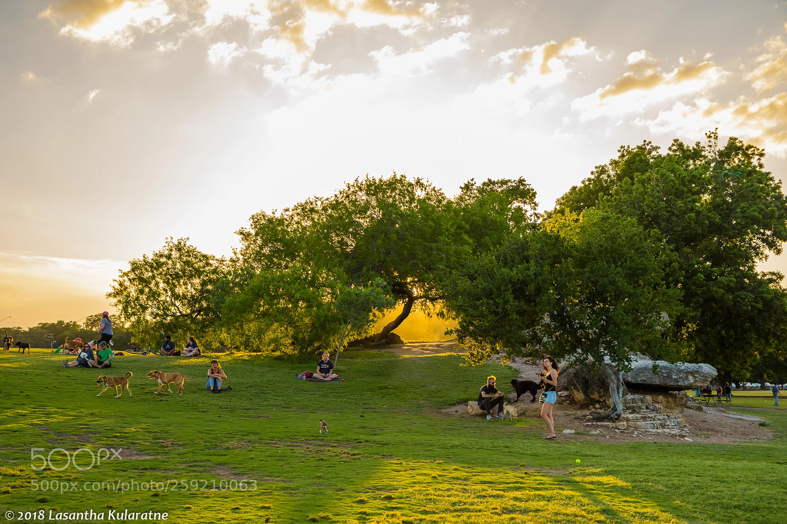 Nikon D7200 sample photo. Gray sky at zilker photography