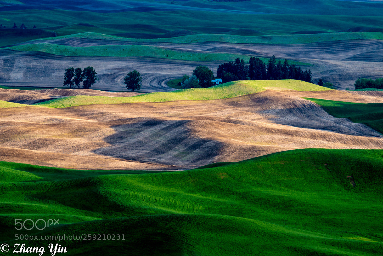 Nikon D800 sample photo. Palouse photography