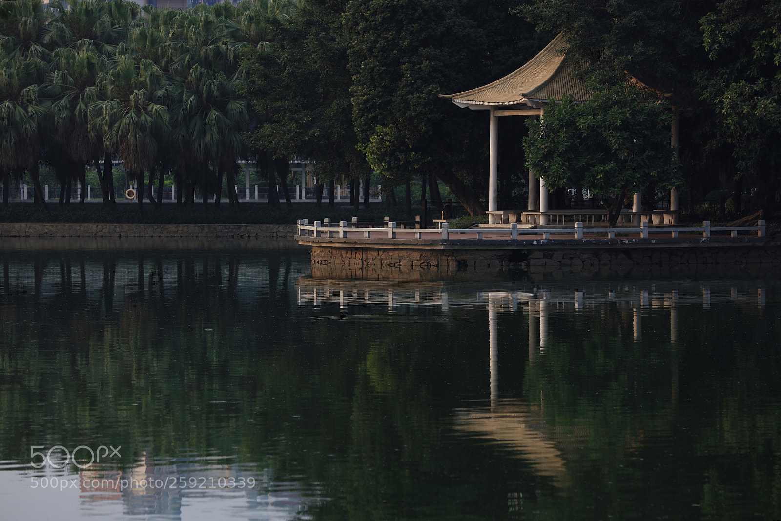 Canon EOS 5DS R sample photo. Summer evening photography
