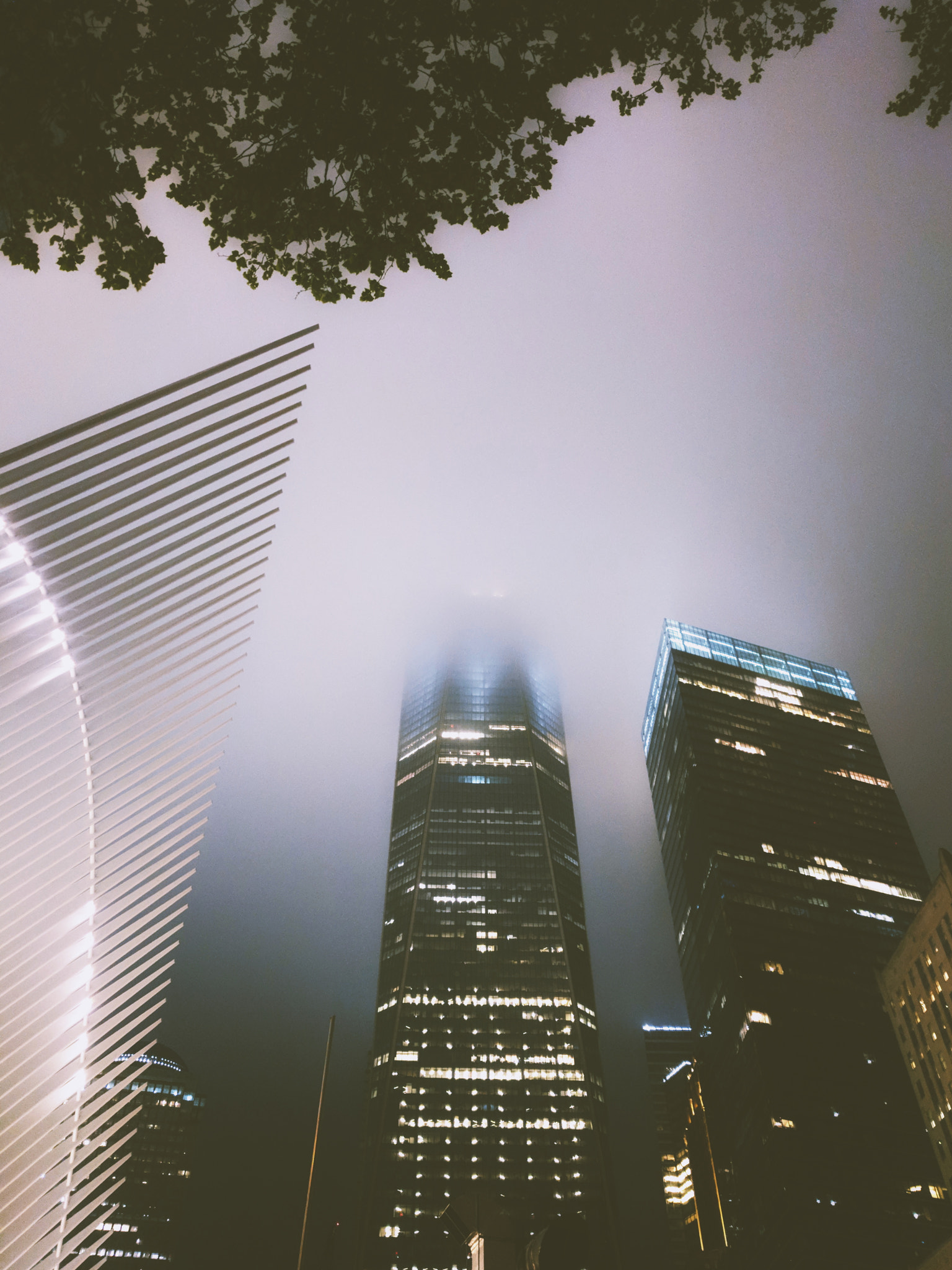 Google Pixel XL sample photo. Fog photography