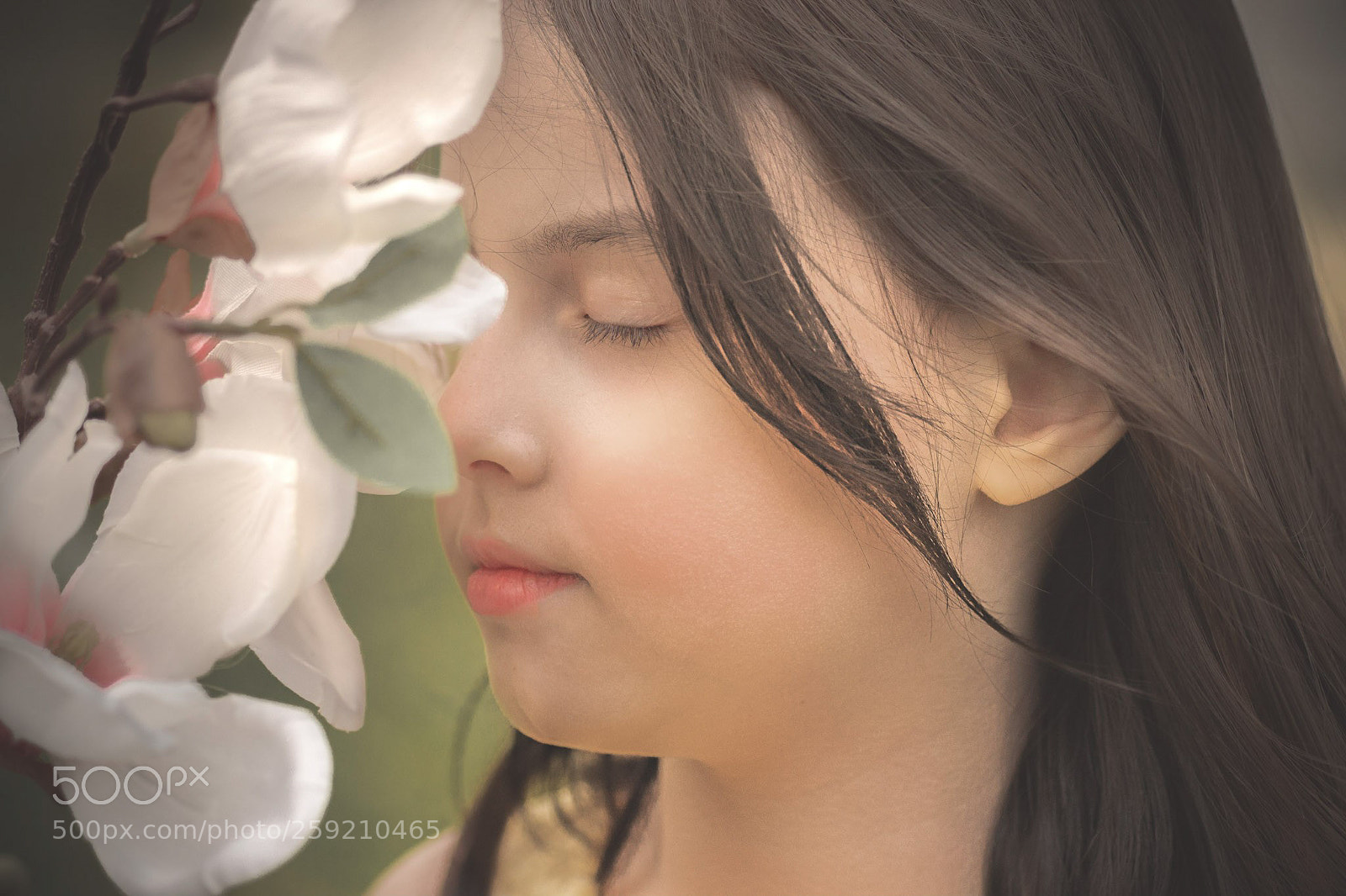 Canon EOS 70D sample photo. Untitled photography