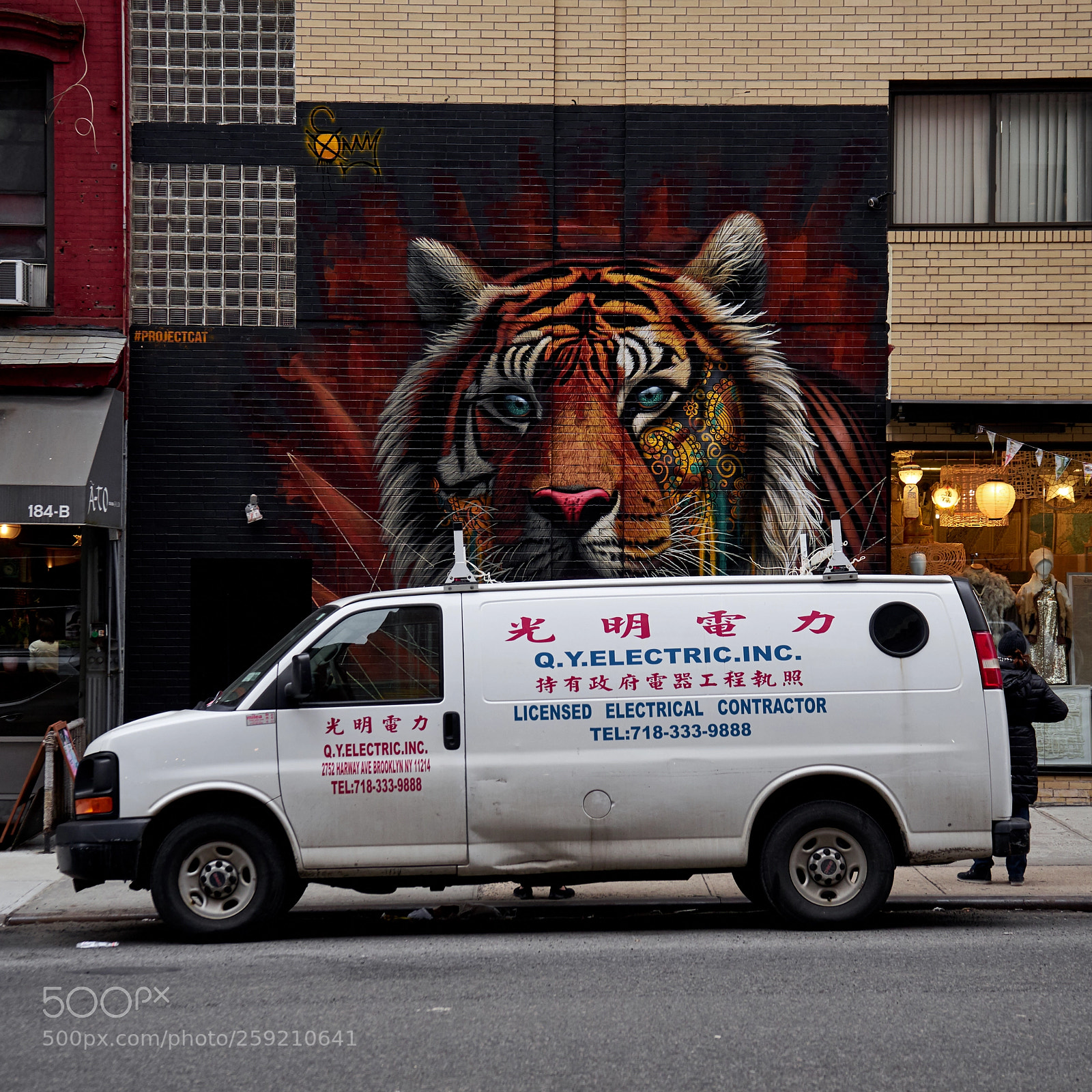 Sony a7 II sample photo. A tiger and a photography