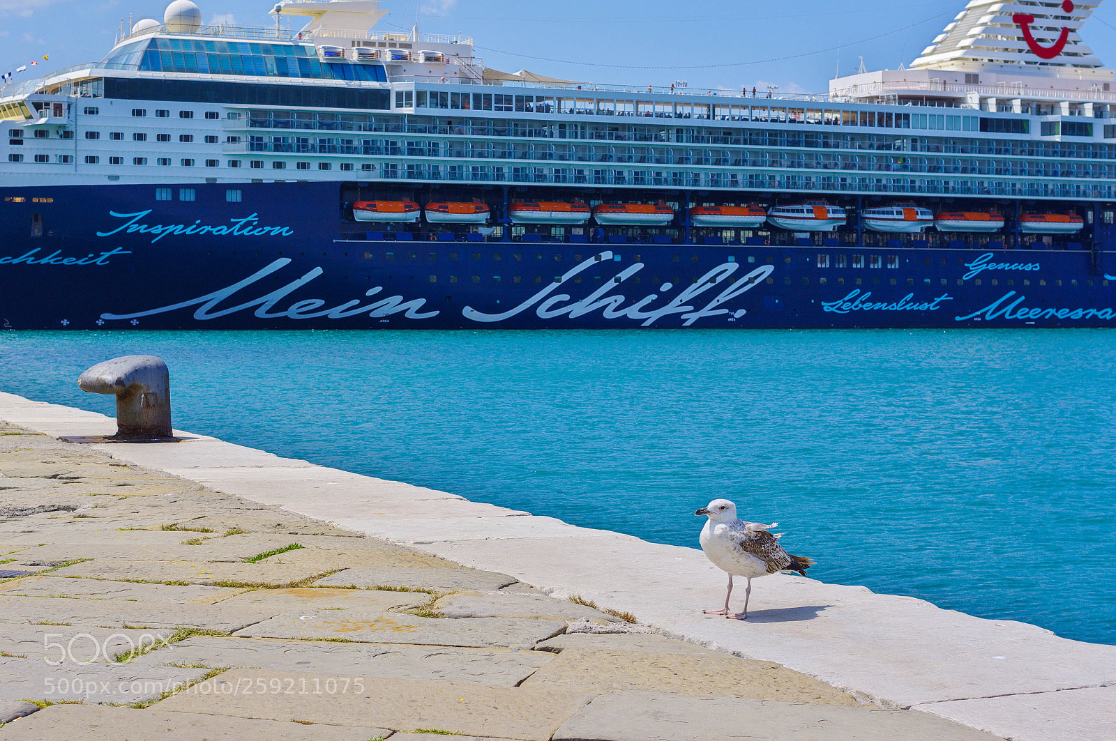Pentax K-3 sample photo. Wait for wind photography