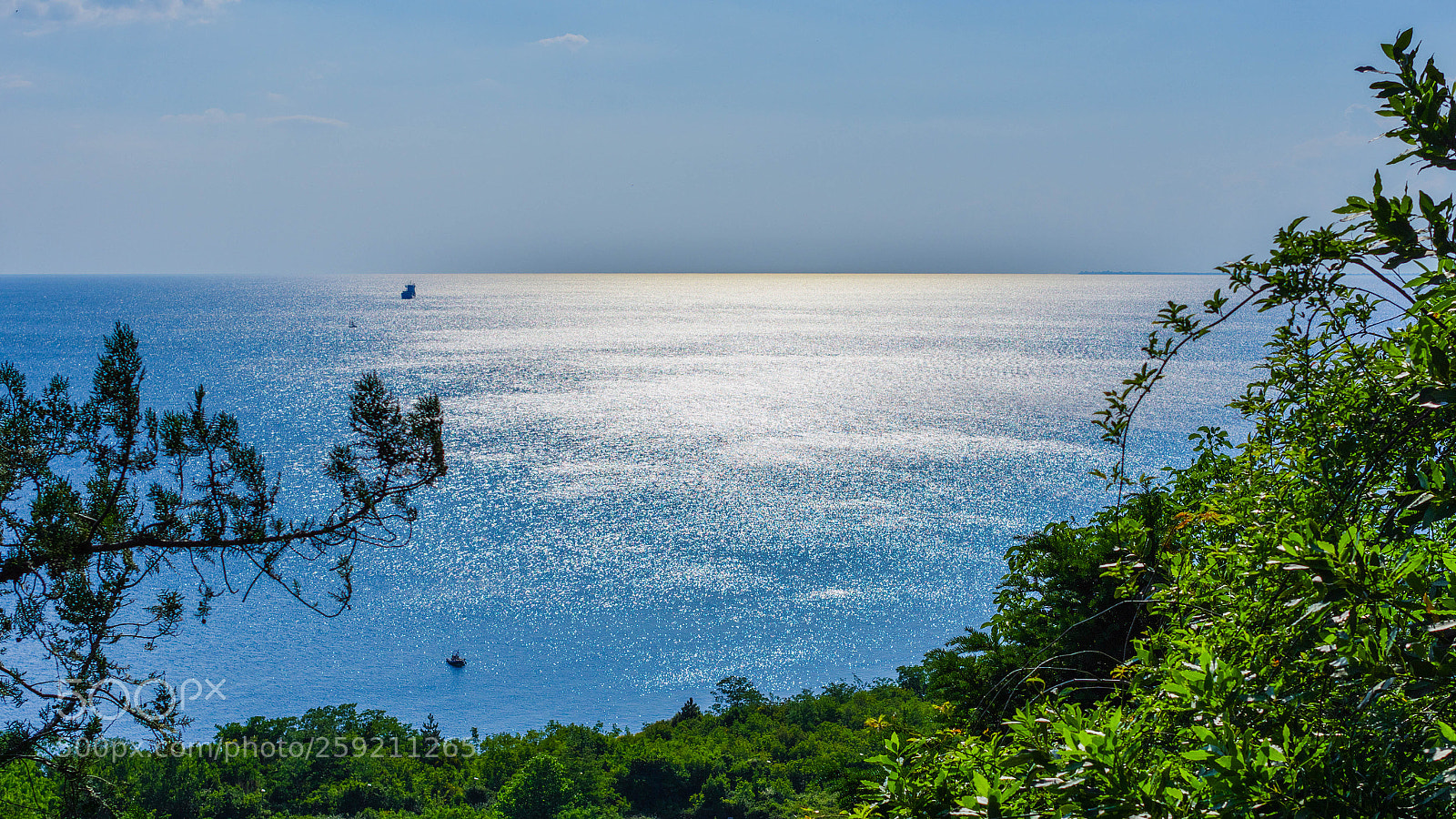 Pentax K-3 sample photo. Vincent will meer photography