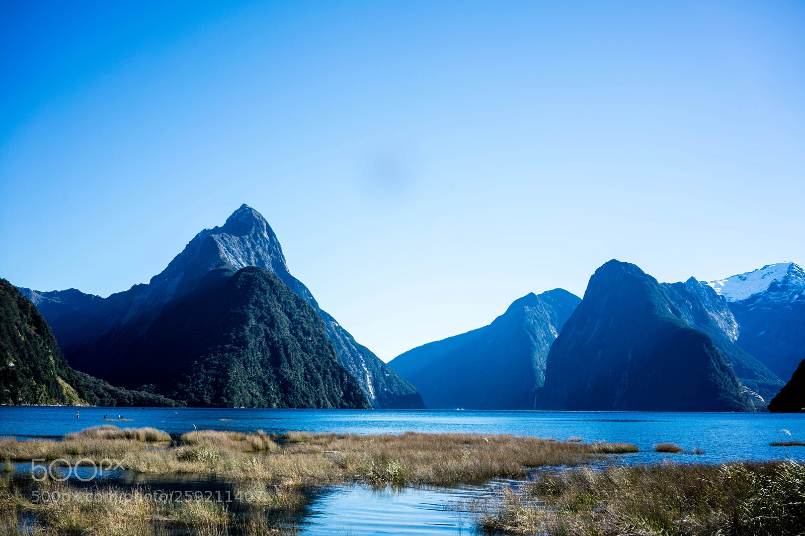 Sony a7R II sample photo. Mitre peak, milford sound photography