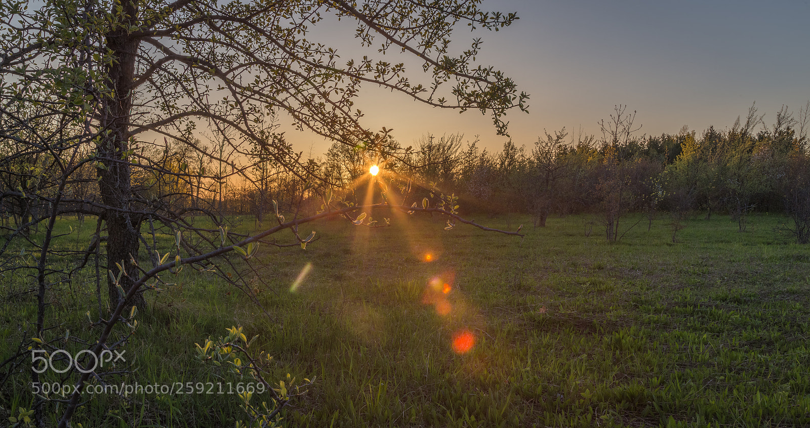 Canon EOS 6D sample photo. Spring sunset photography