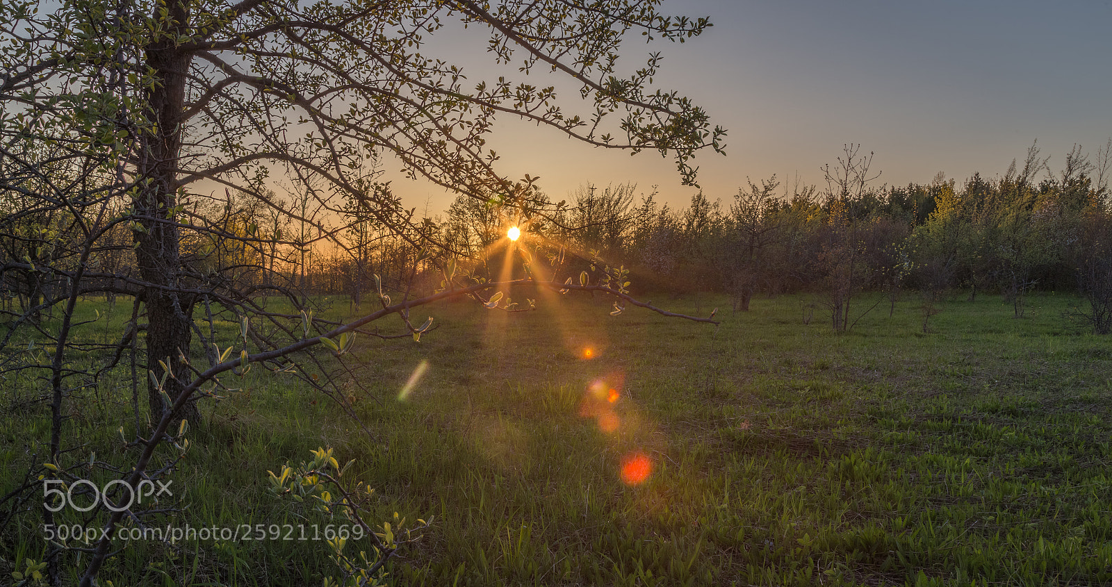 Canon EOS 6D sample photo. Spring sunset photography