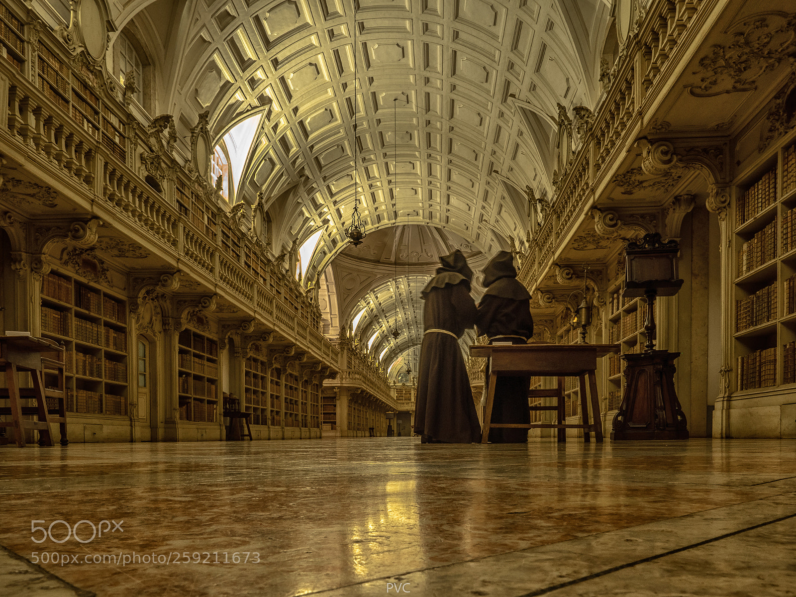 Olympus OM-D E-M1 Mark II sample photo. The library. photography