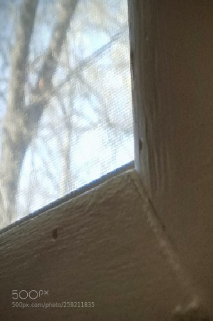 Samsung Galaxy S7 Edge sample photo. Corner shot photography