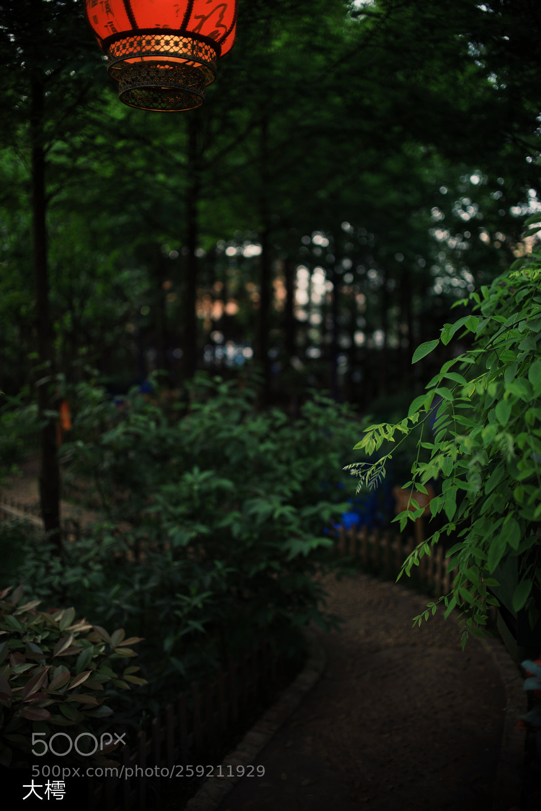 Nikon D750 sample photo. Untitled photography