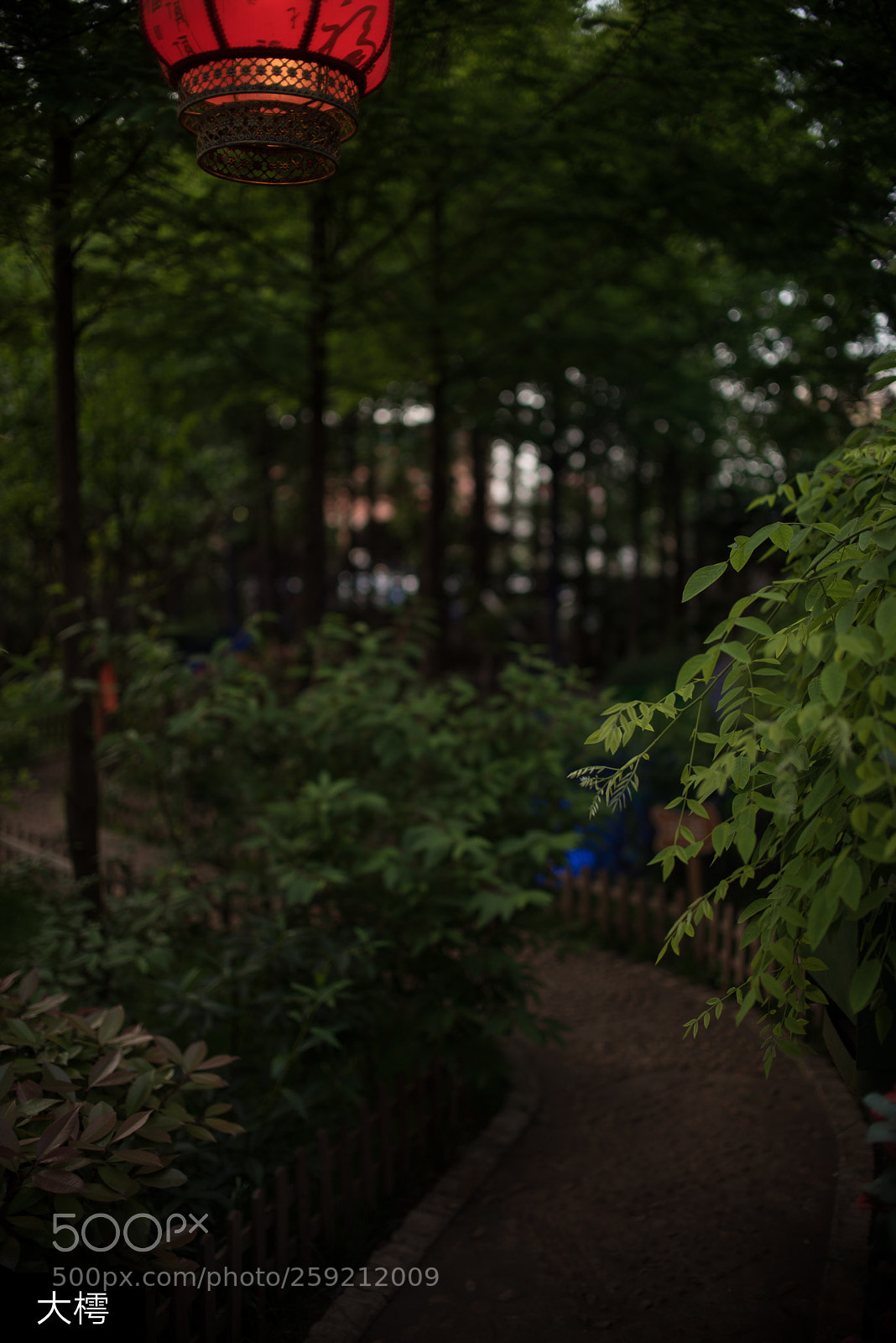 Nikon D750 sample photo. Untitled photography