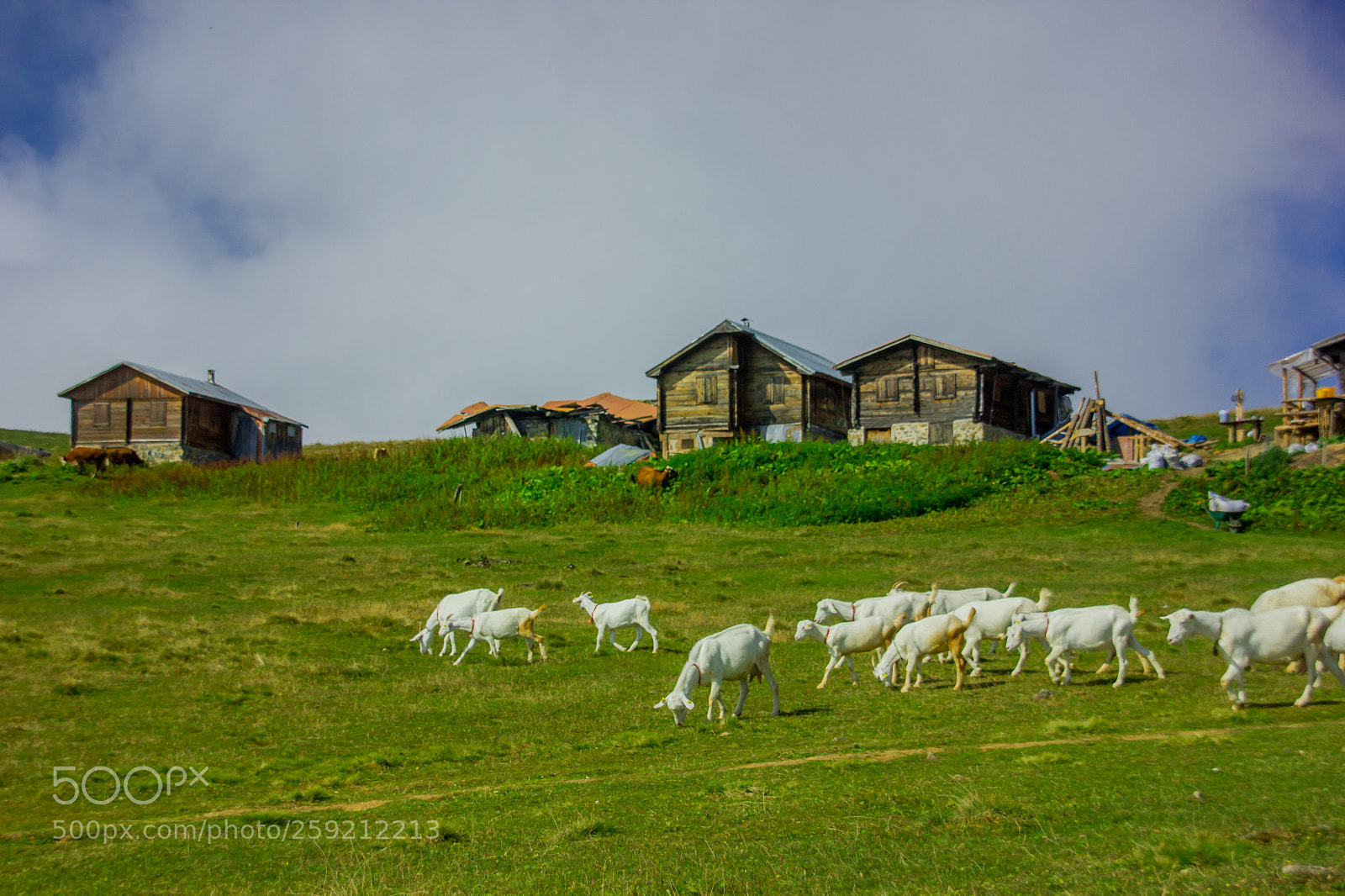 Canon EOS 550D (EOS Rebel T2i / EOS Kiss X4) sample photo. Rize - sal plateau photography