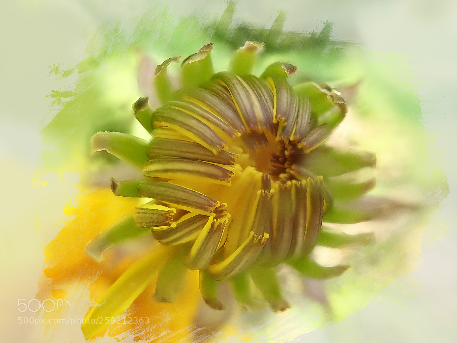 Olympus TG-5 sample photo. Unfolding photography