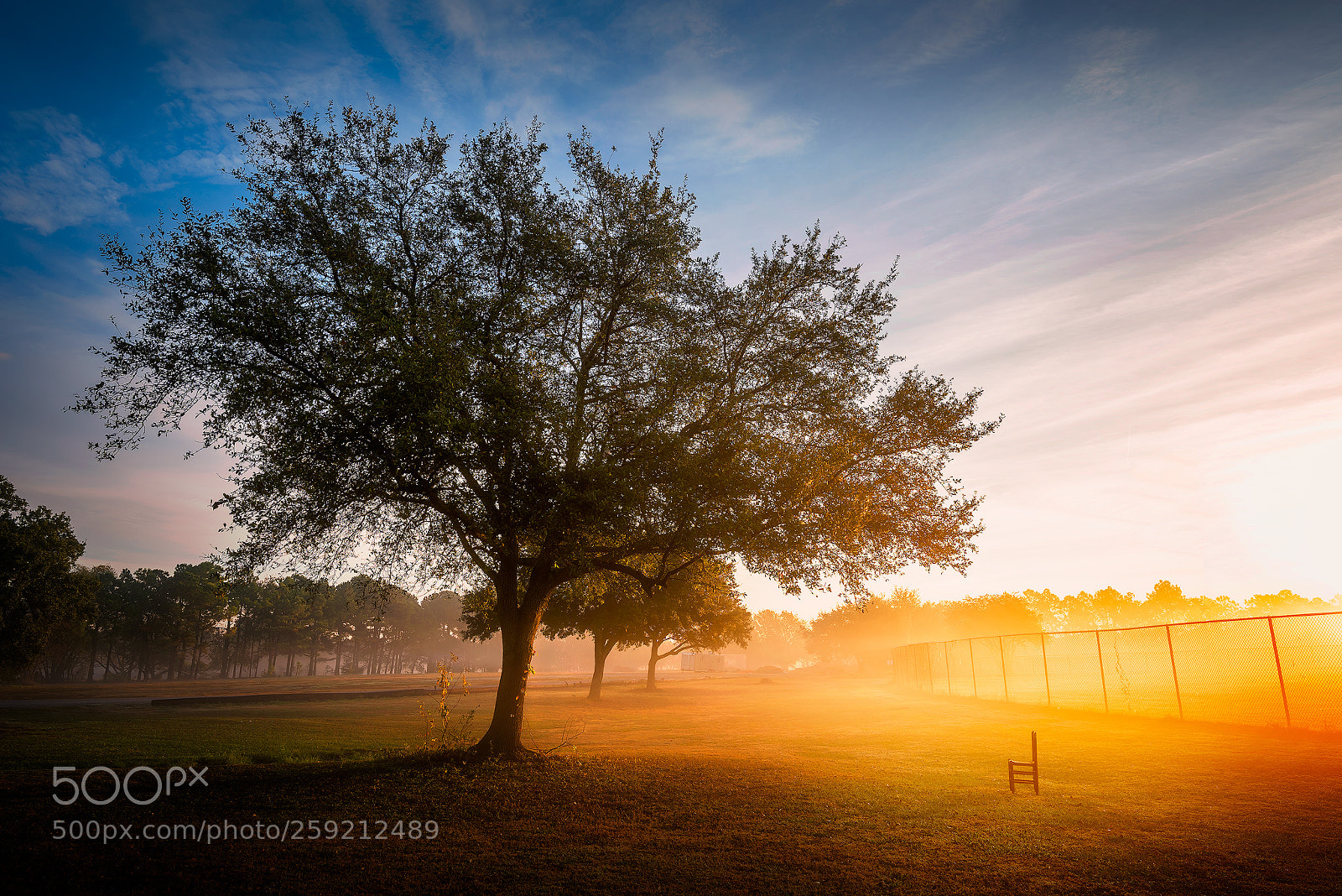 Nikon D810 sample photo. Companion photography