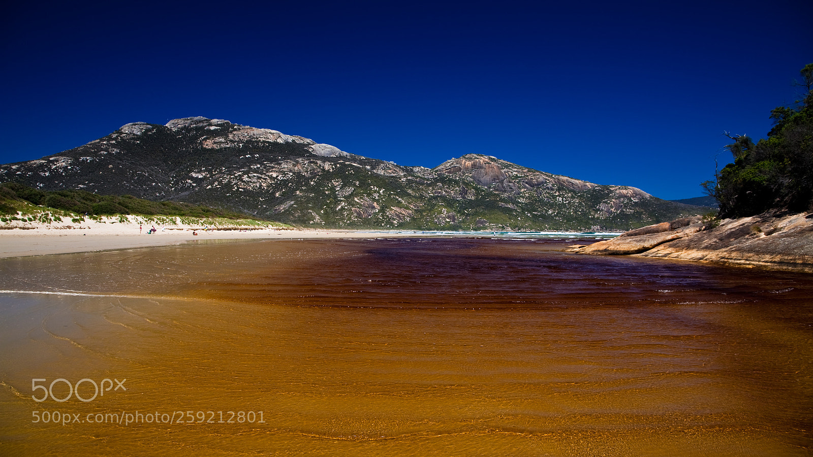 Canon EOS 5D sample photo. Tidal river photography