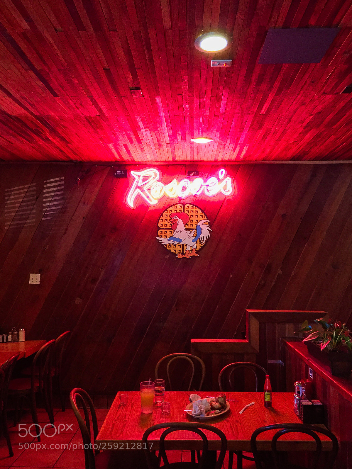Apple iPhone 6 sample photo. Roscoe's photography
