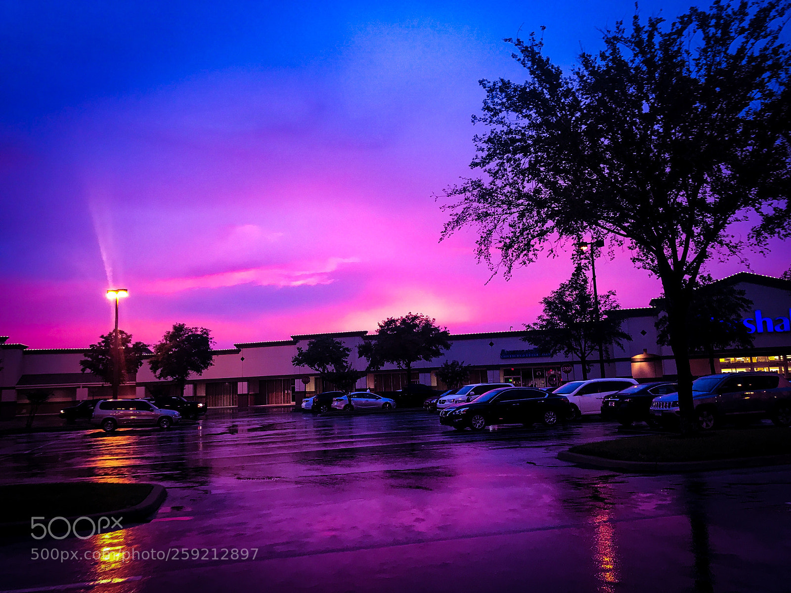 Apple iPhone 7 Plus sample photo. Pink sunset 
 photography