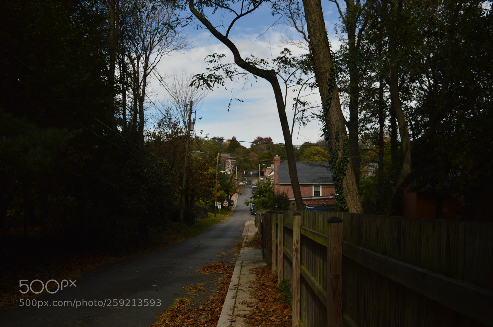 Nikon D3200 sample photo. Quiet fall photography