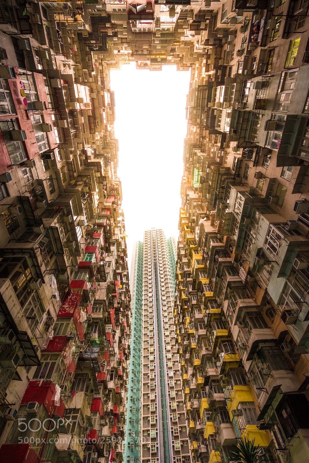 Nikon D810 sample photo. Contrast photography