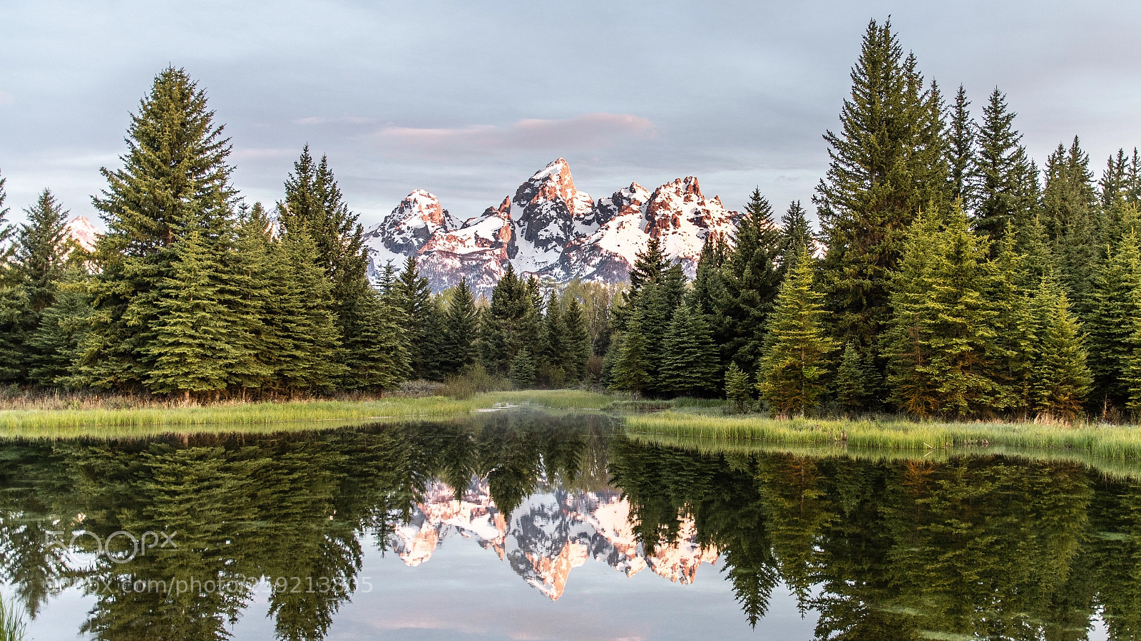 Nikon D500 sample photo. Grand teton reflection
 photography