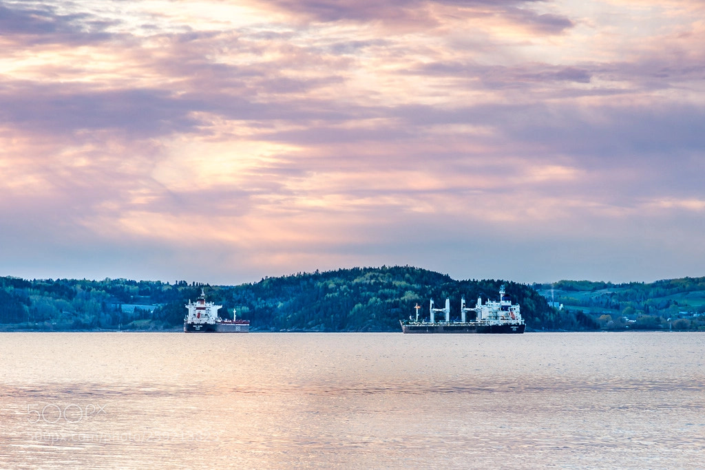 Nikon D7200 sample photo. Sur la baie des photography