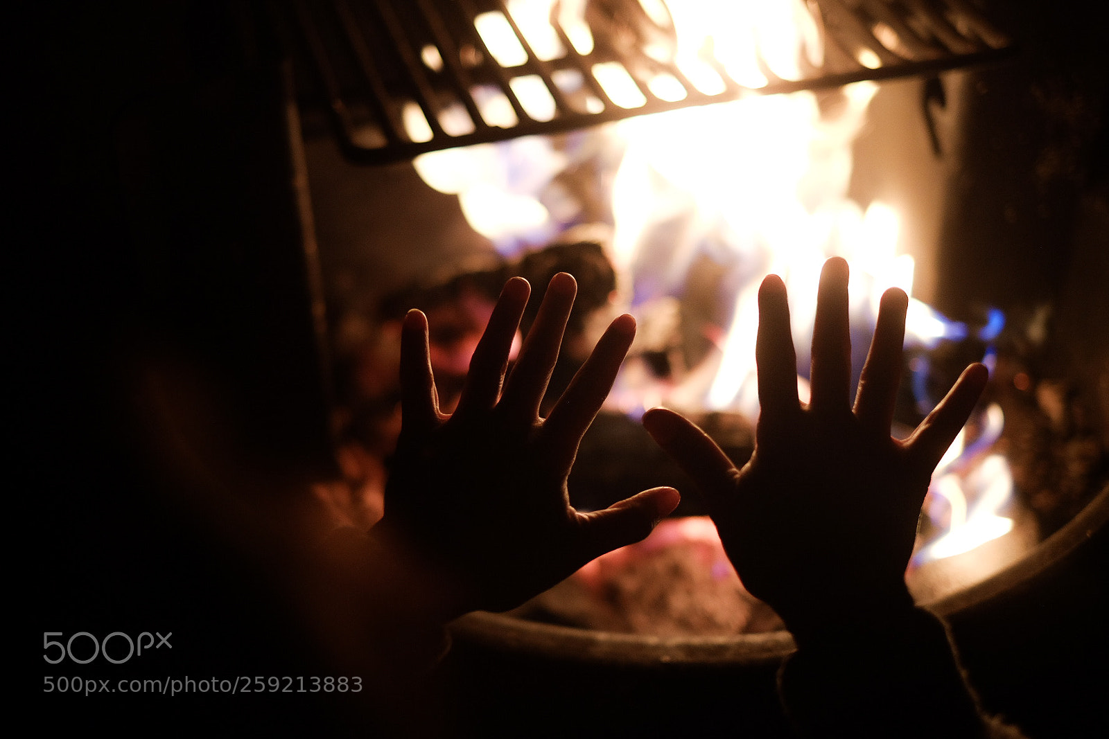 Fujifilm X-T1 sample photo. Img photography