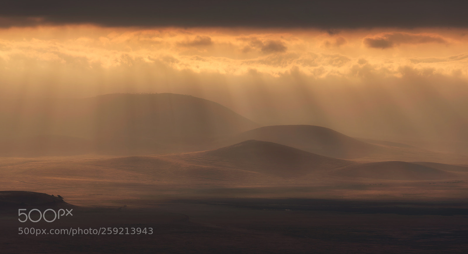 Nikon D750 sample photo. Sunrise at ngorongoro crater photography