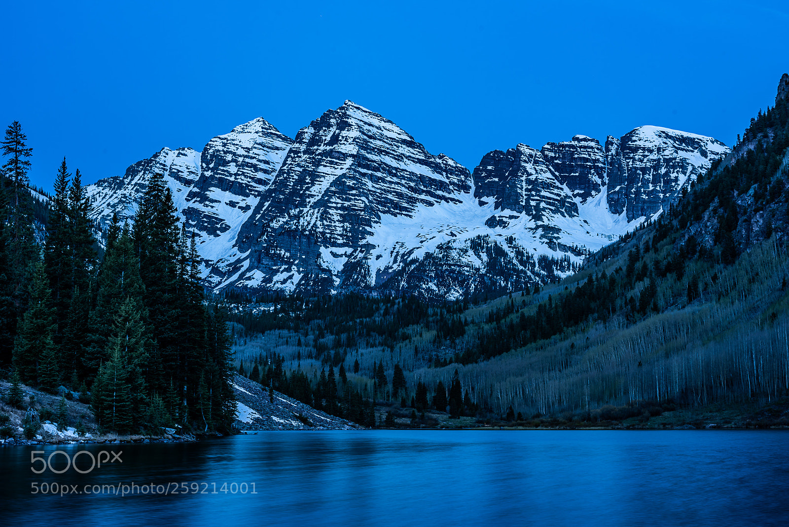 Nikon D810 sample photo. Blue bells photography