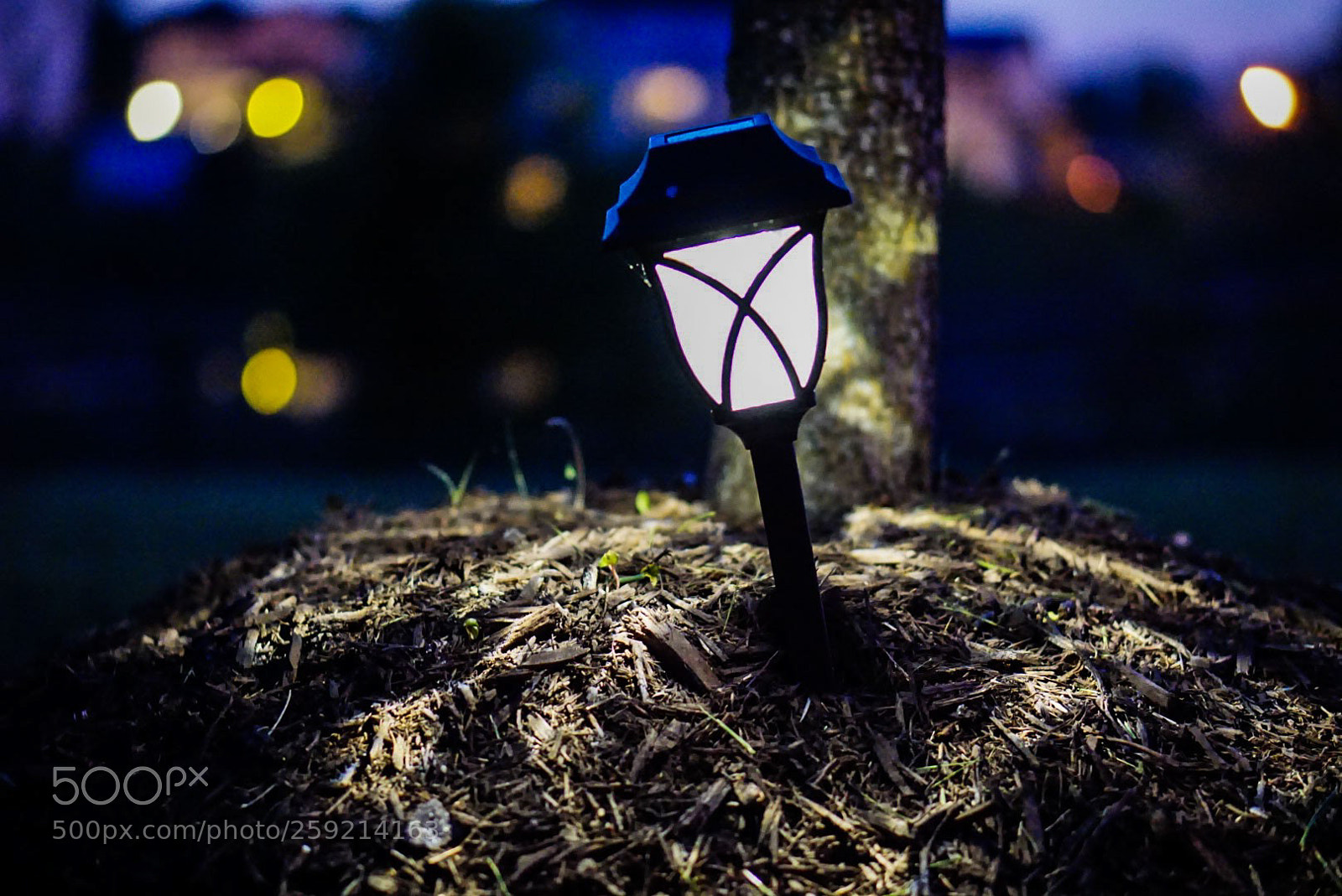 Sony a6000 sample photo. Lonely light photography