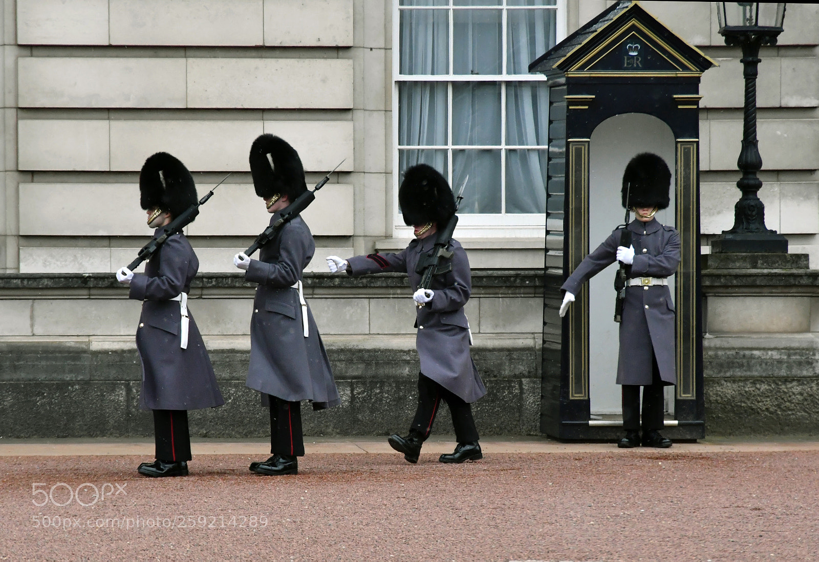 Nikon D500 sample photo. Guard duty photography
