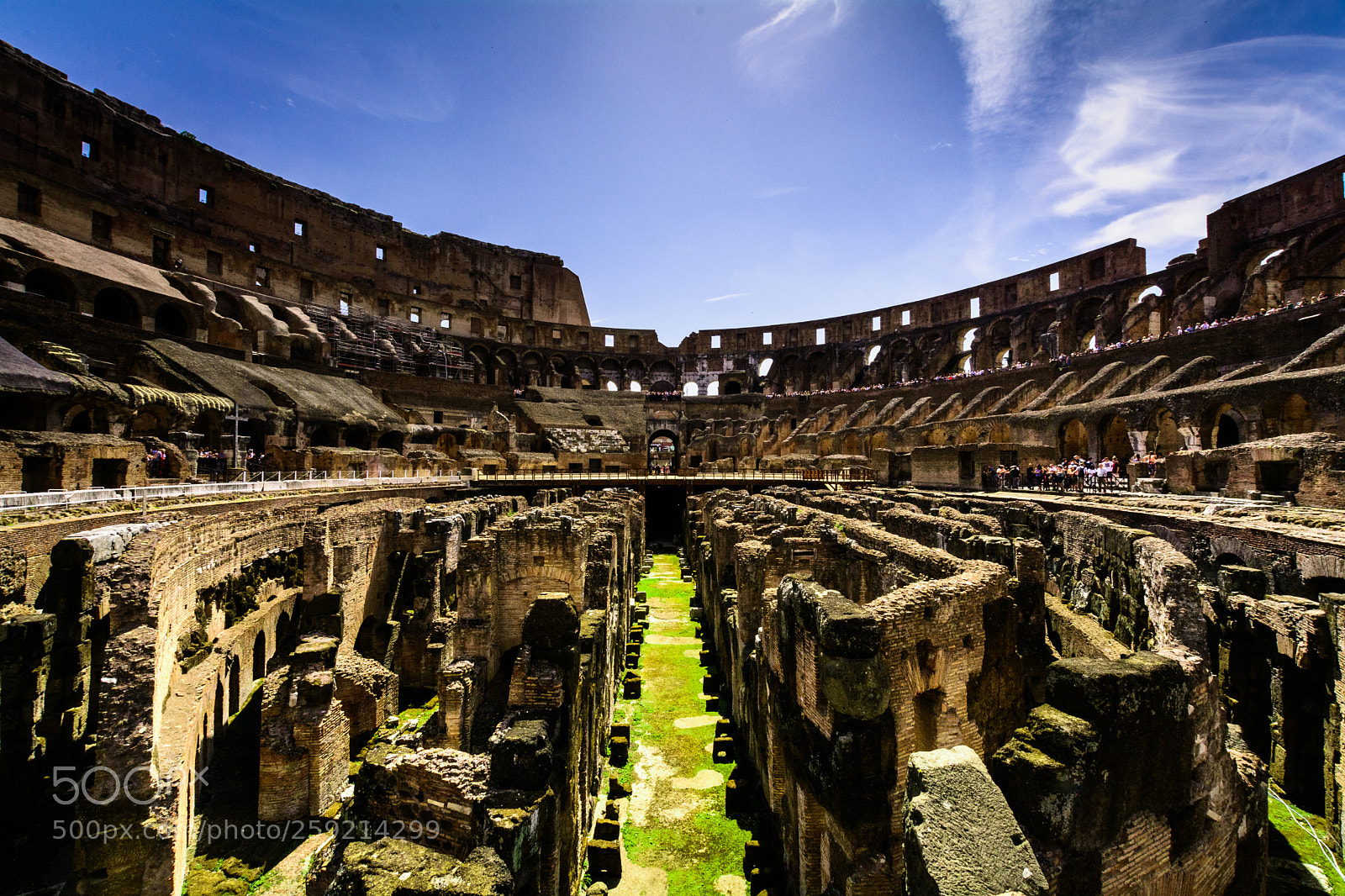 Nikon D7100 sample photo. Arena photography