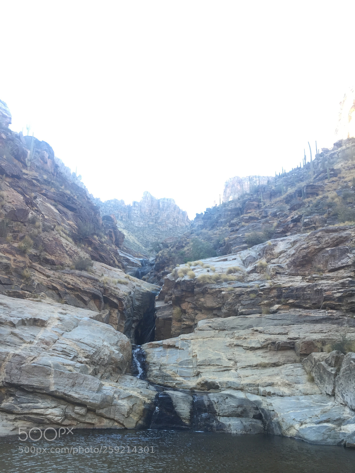 Apple iPhone 6 sample photo. Img photography