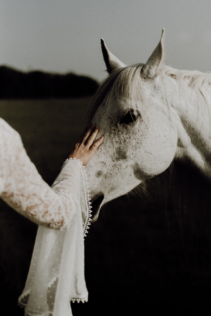 A horse with no name by Kewin Connin Jackson on 500px.com