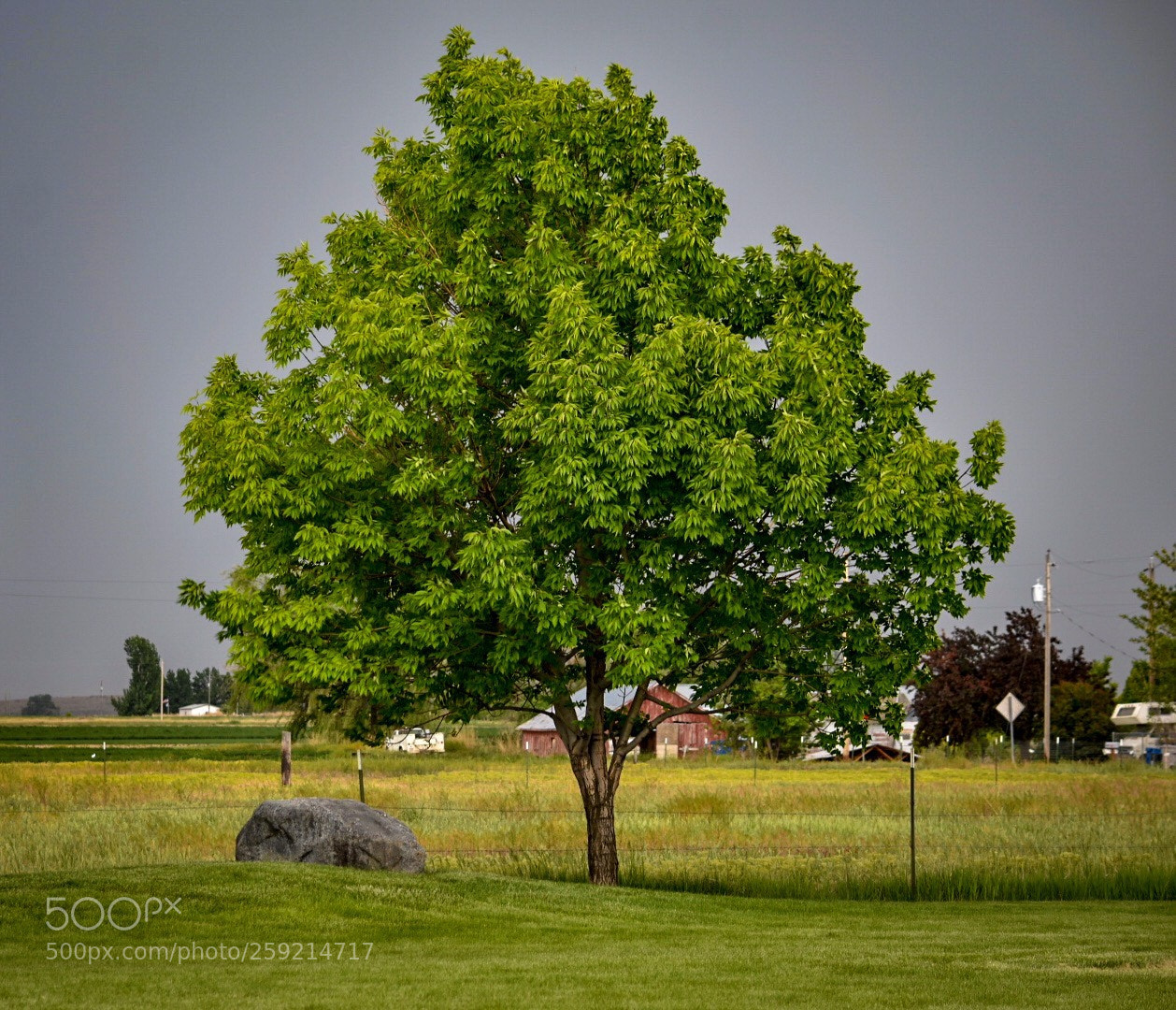 Nikon D3400 sample photo. Calm before the storm  photography