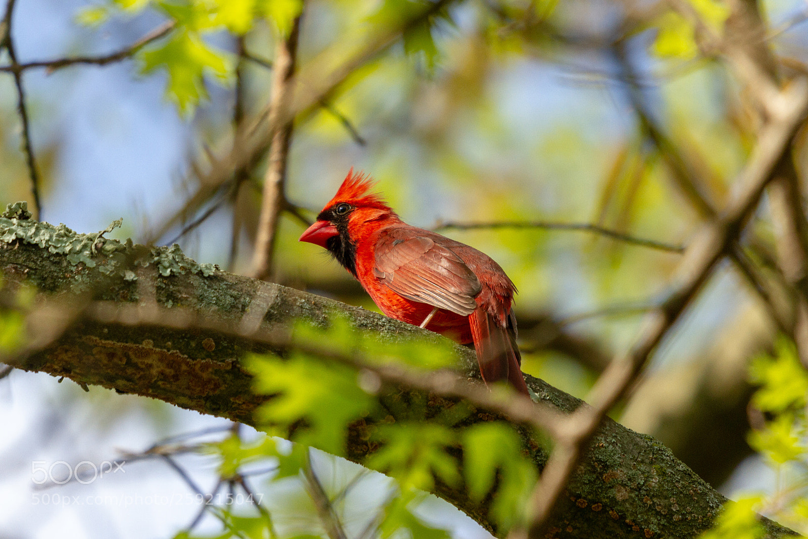 Canon EOS 7D sample photo. Img photography